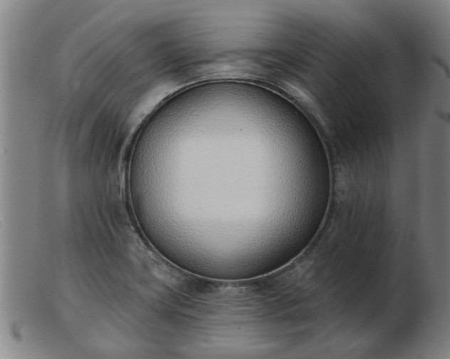X0000103421419200809191627
