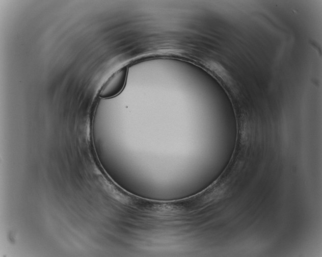 X0000103421420200809191627