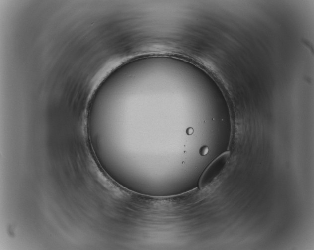 X0000103421421200809191627