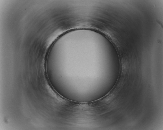 X0000103421422200809191627