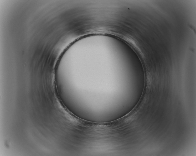X0000103421424200809191627