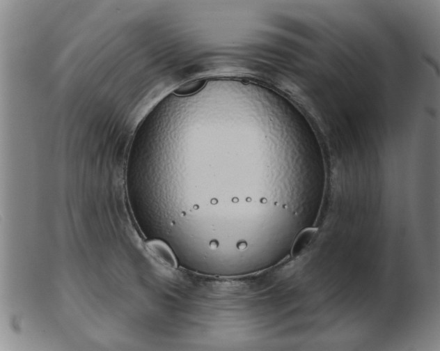 X0000103421425200809191627