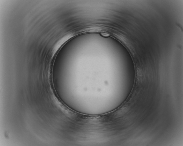 X0000103421426200809191627