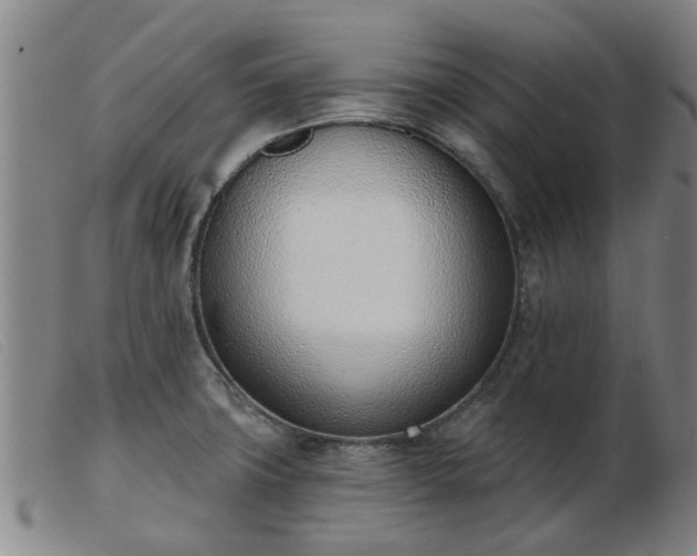 X0000103421427200809191627