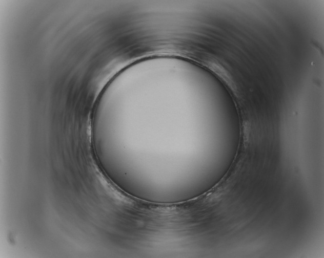 X0000103421428200809191627