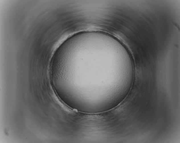 X0000103421429200809191627