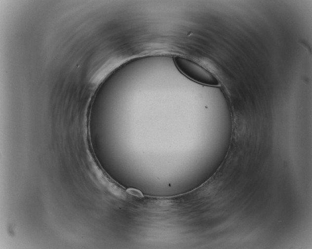 X0000103421431200809191627