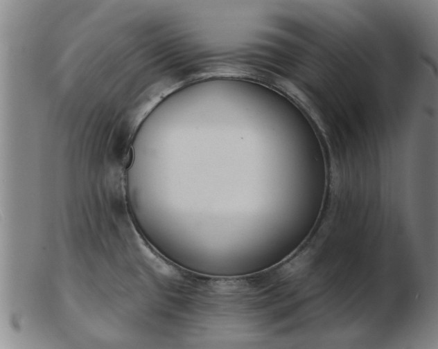 X0000103421433200809191627