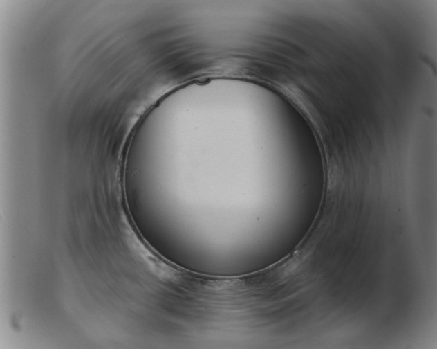 X0000103421434200809191627
