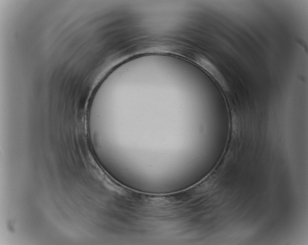 X0000103421436200809191627