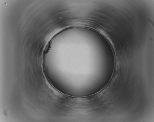 X0000103421437200809191627