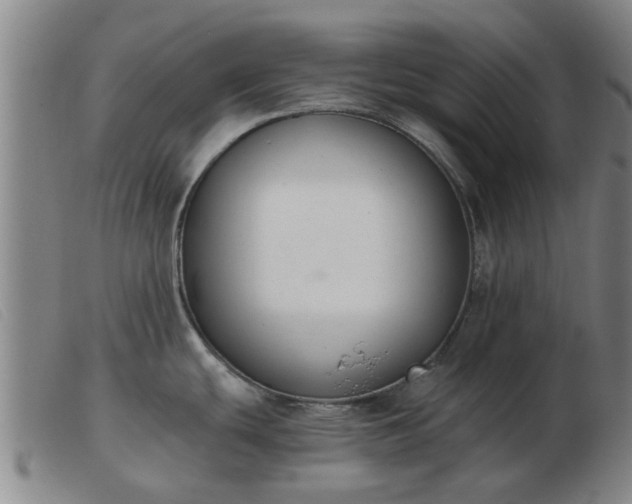 X0000103421439200809191627