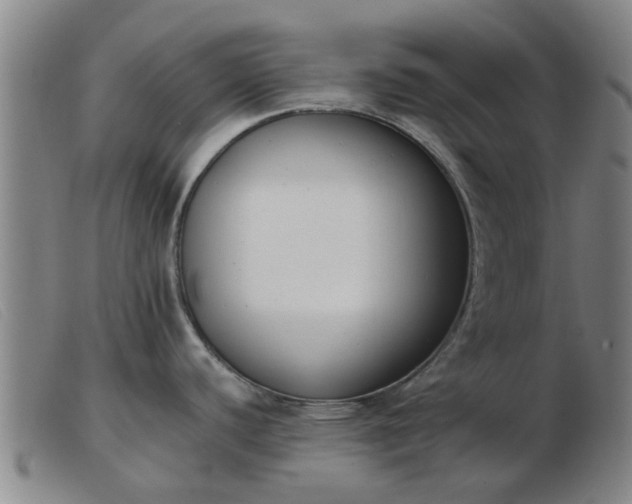 X0000103421440200809191627