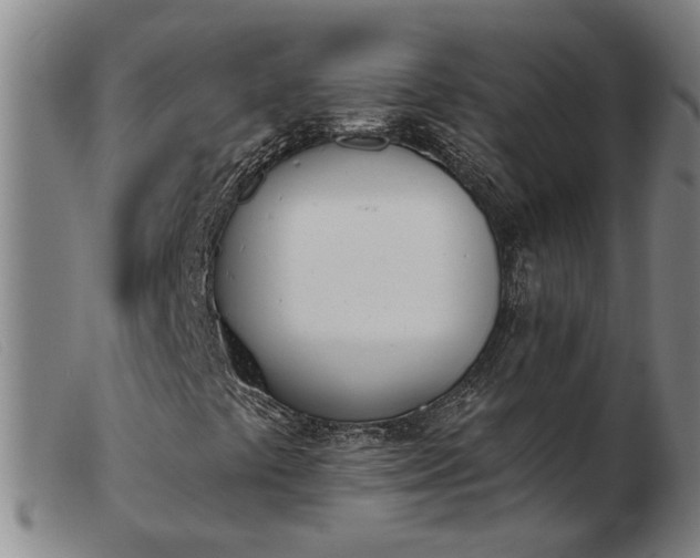 X0000103421441200809191626