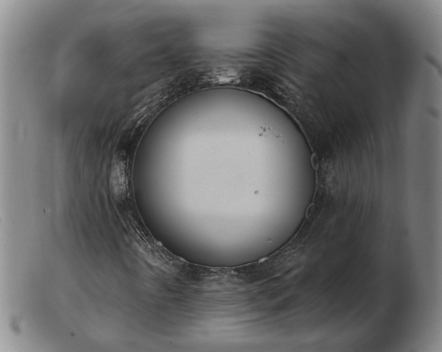 X0000103421442200809191626