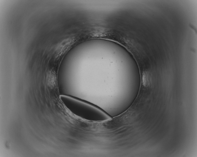 X0000103421444200809191626