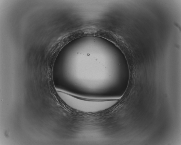 X0000103421445200809191626