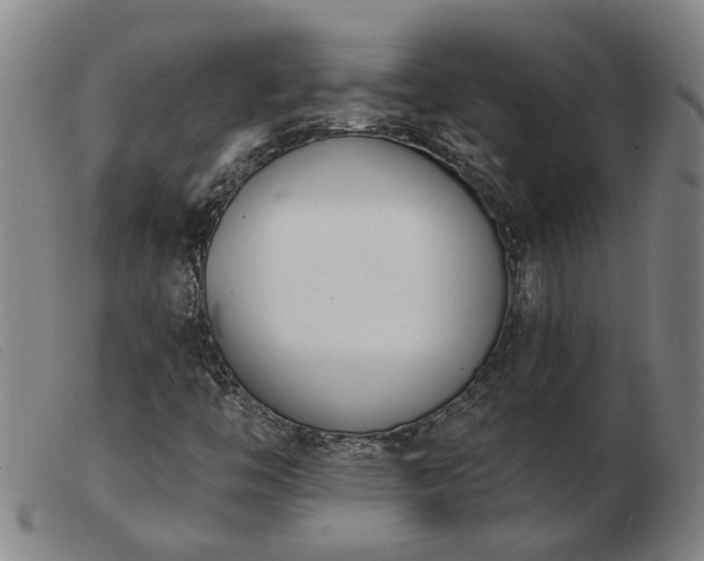 X0000103421446200809191626