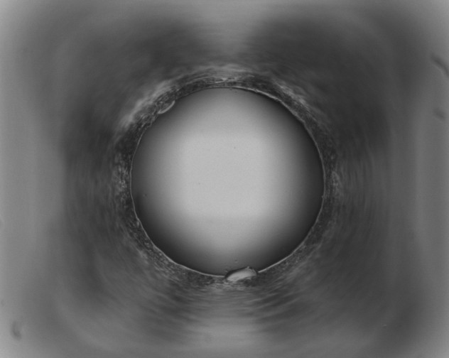 X0000103421447200809191626