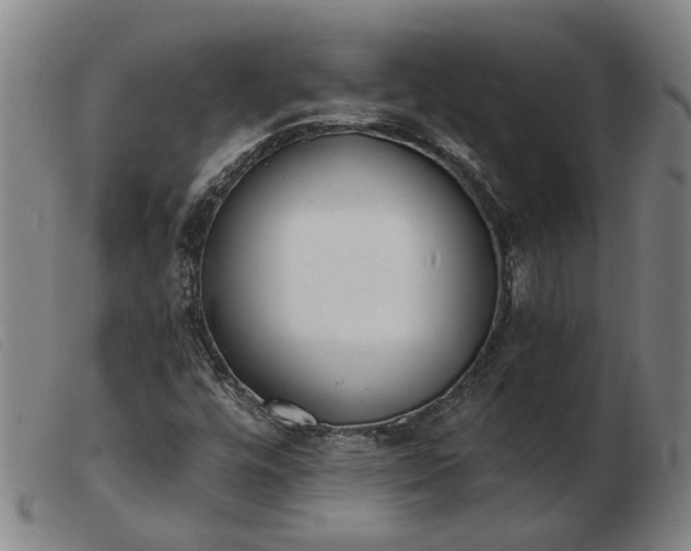 X0000103421448200809191626
