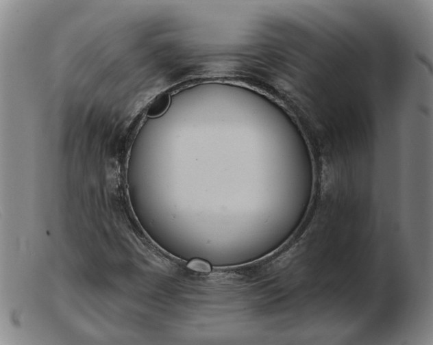 X0000103421449200809191626
