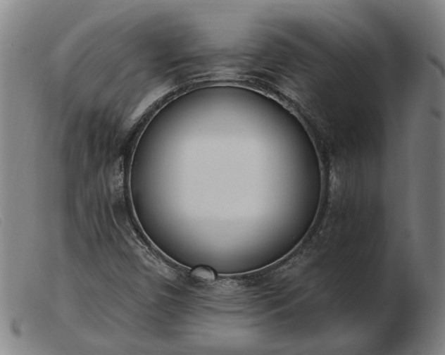 X0000103421450200809191626