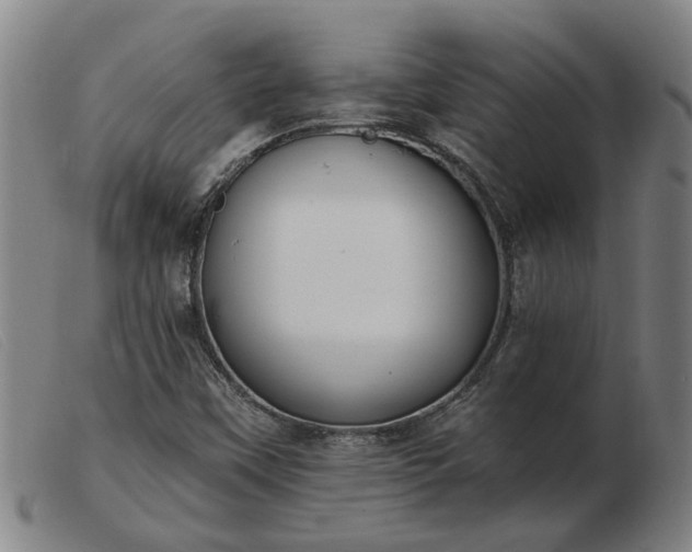 X0000103421451200809191626