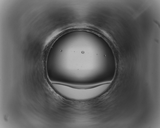 X0000103421456200809191626