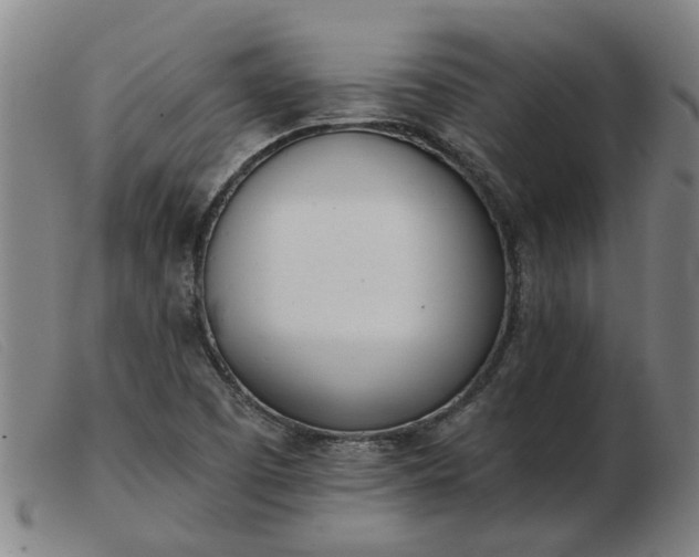 X0000103421457200809191626