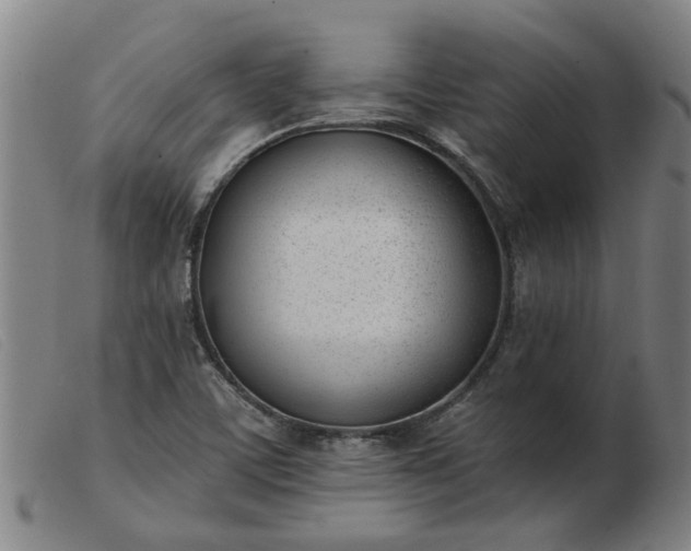X0000103421459200809191626