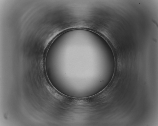 X0000103421460200809191626