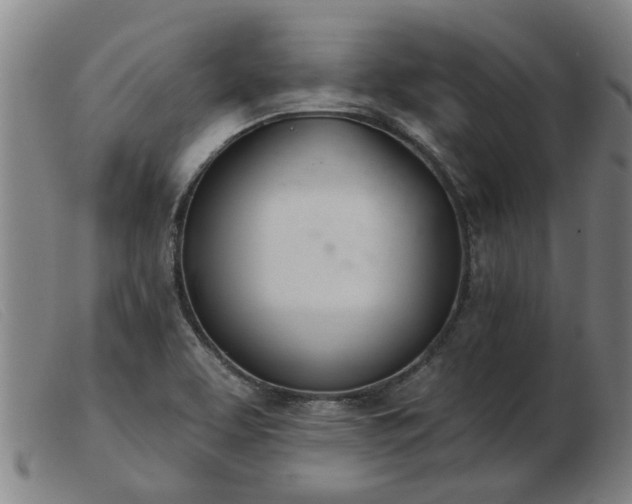 X0000103421463200809191626