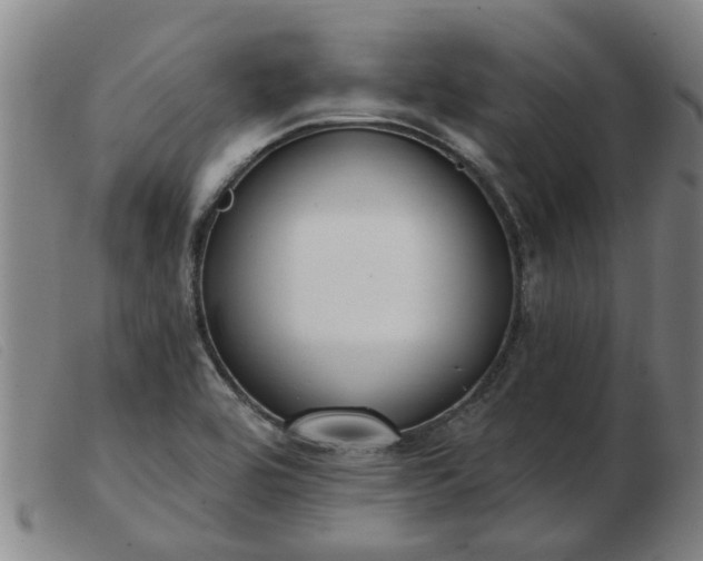 X0000103421464200809191626