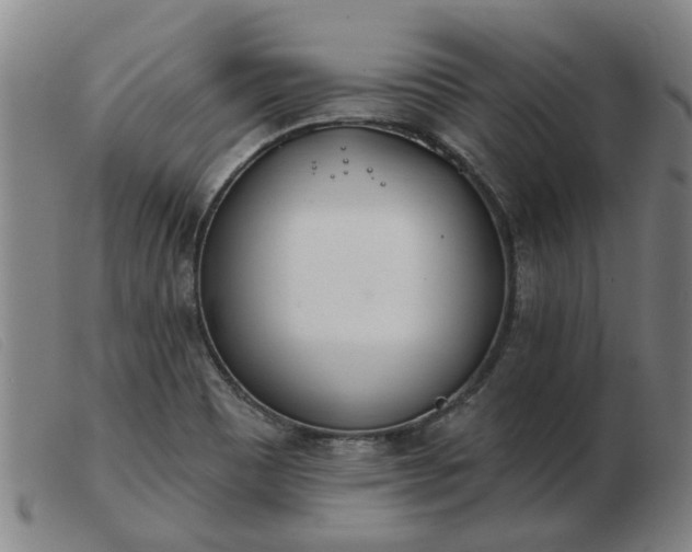 X0000103421465200809191626