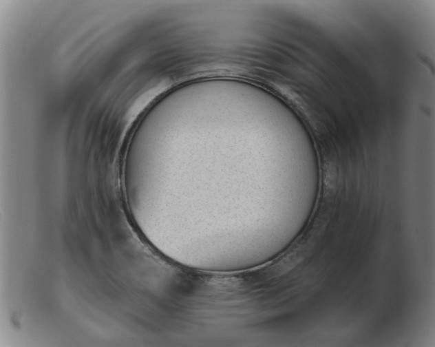 X0000103421466200809191626