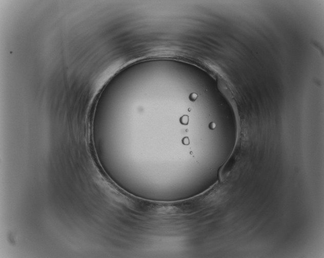 X0000103421467200809191626