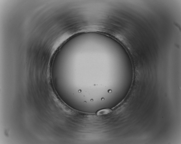 X0000103421469200809191626