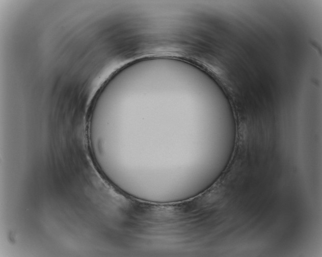 X0000103421470200809191626
