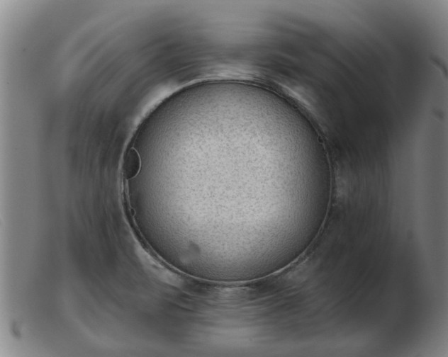 X0000103421471200809191626