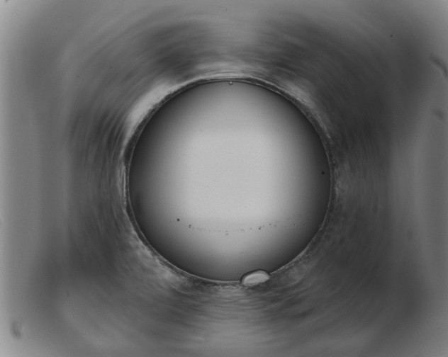 X0000103421472200809191626