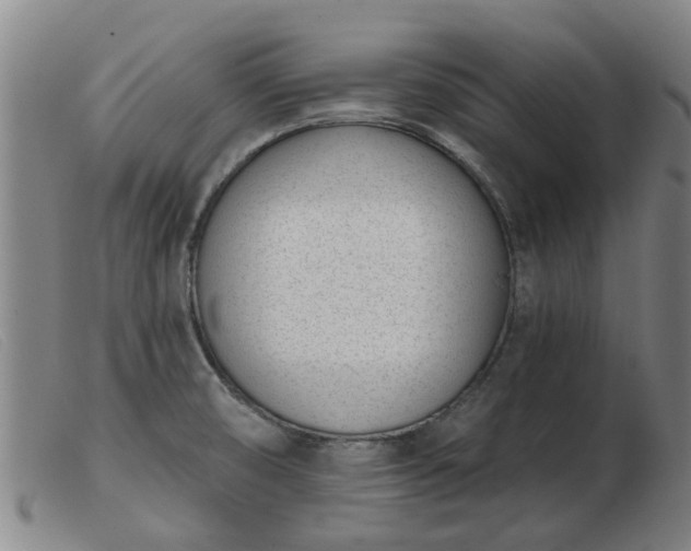 X0000103421474200809191626