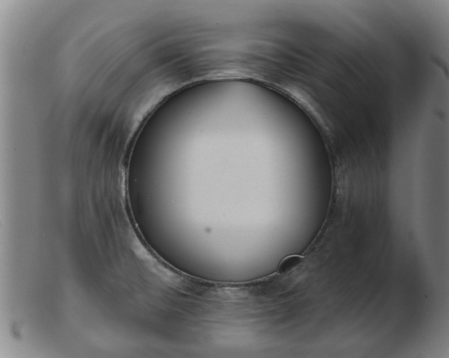 X0000103421476200809191626