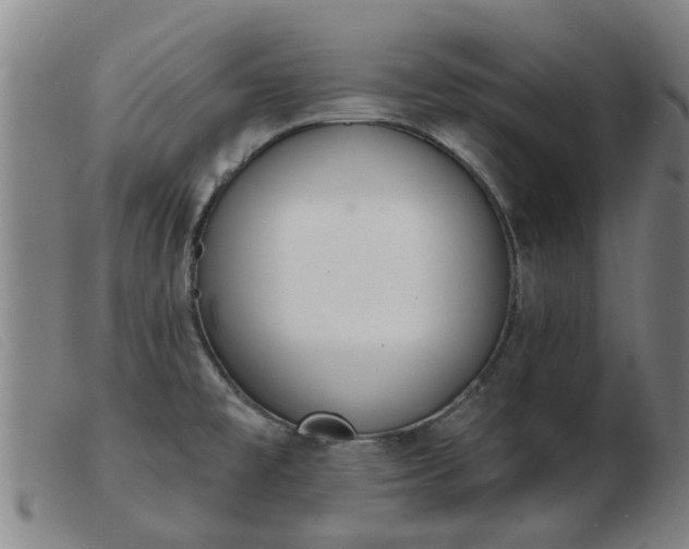 X0000103421477200809191626