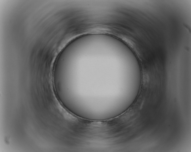 X0000103421478200809191626