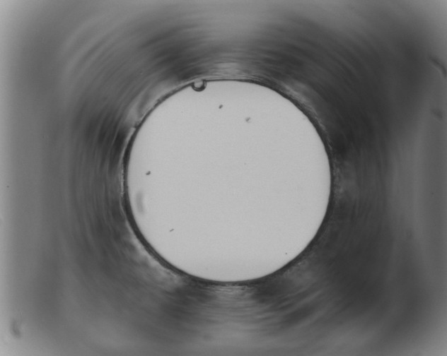 X0000103421479200809191626