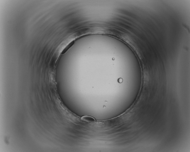 X0000103421481200809191626