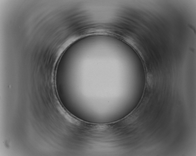 X0000103421482200809191626