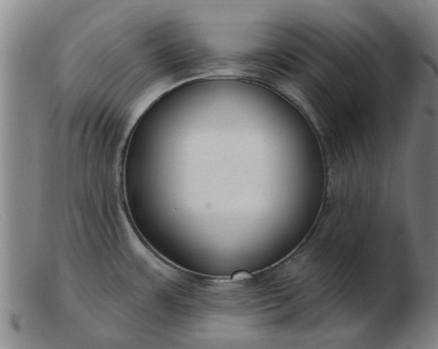X0000103421483200809191626