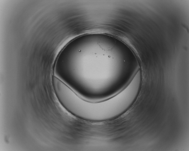 X0000103421484200809191626