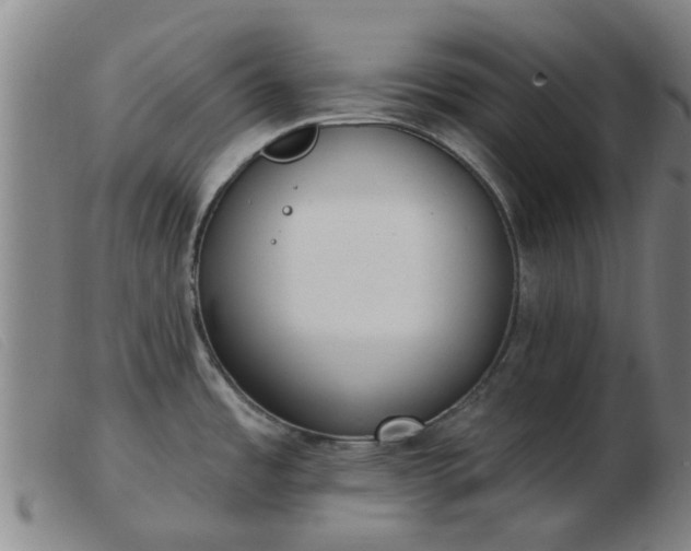 X0000103421485200809191626